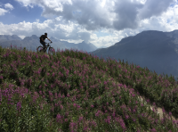 Event Mittags oder Nachmittagstour mit BBQ oder Picnic / St. Moritz & EngelbergLunch or afternoontour with BBQ or picnic / St. Moritz & Engelberg